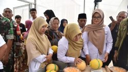 Desa Ancaran wujud inovasi pertanian dan penguatan ekonomi masyarakat desa